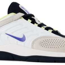 nike-sb-vertebrae-skate-shoes-summit-white-persian-violet